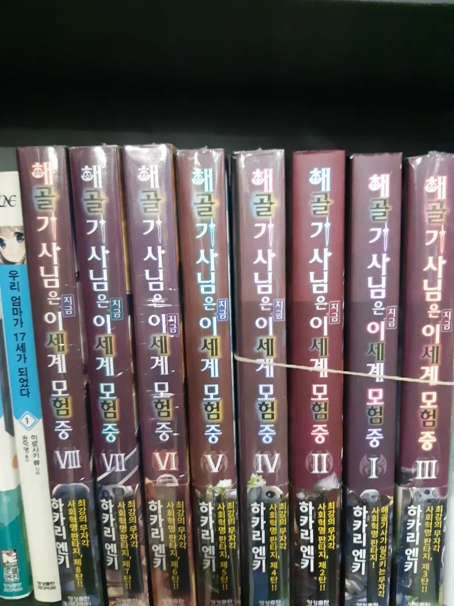 해골기사님은 지금 이세계 모험중 1~8 중고노벨 만화짱많아 프로안전상점