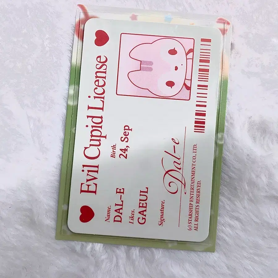 아이브가을 시크릿 인형버전 아이디카드