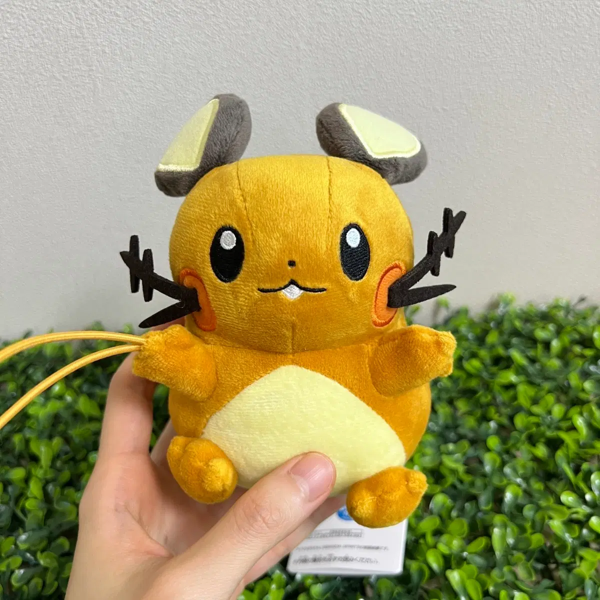 데덴네 키링 인형 포켓몬스터 누이