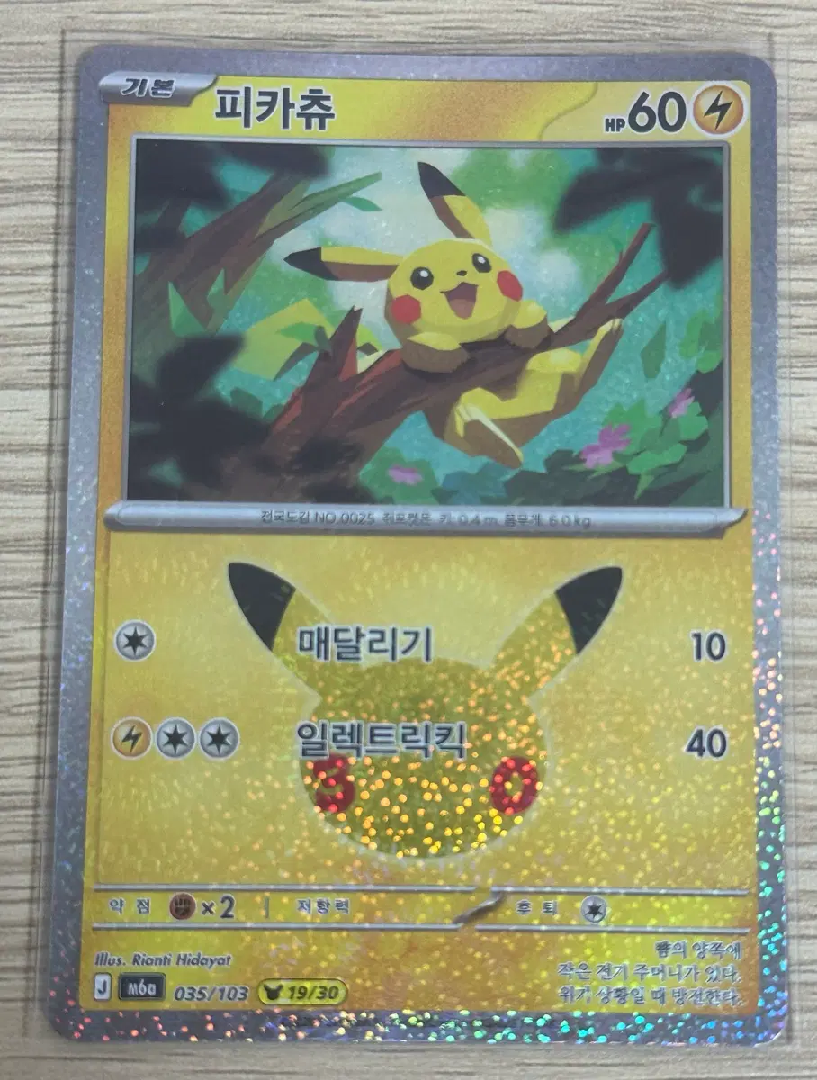포켓몬 카드 30주년 피카츄 19번