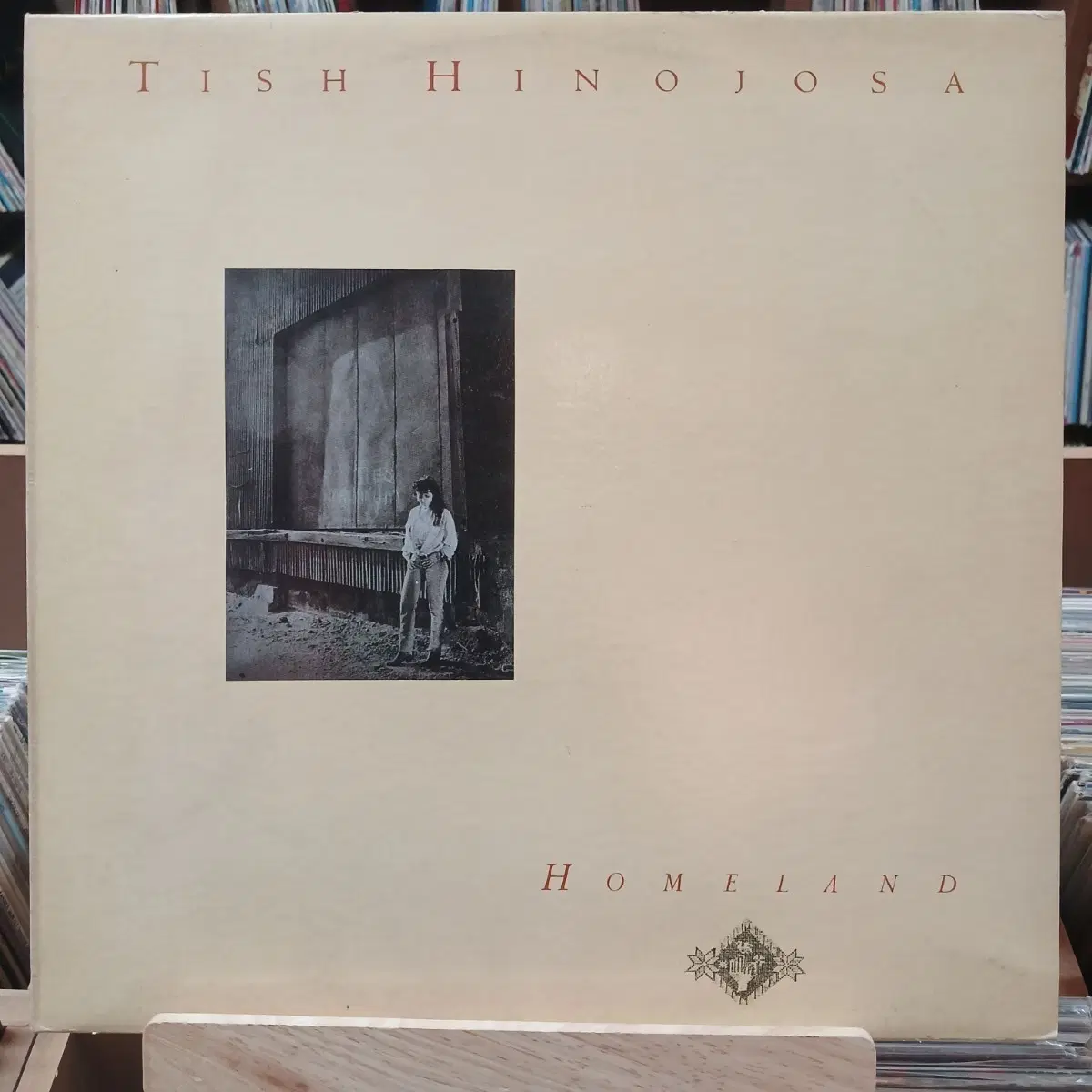 민트급 TISH HINOJOSA LP 할인