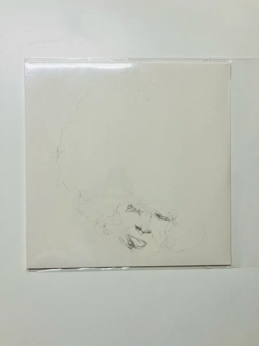 Will Long - Sallow / Pine 12인치