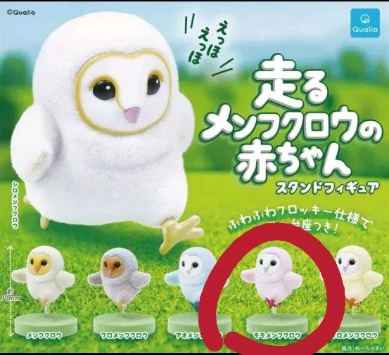 올빼미가챠 핑크