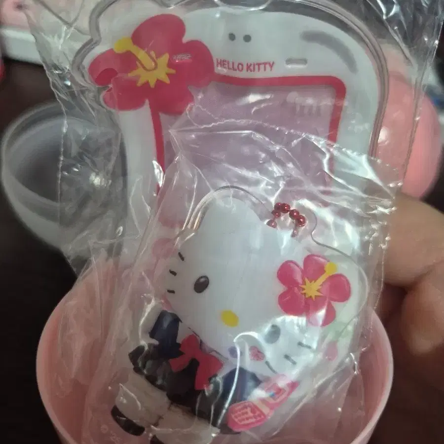 산리오 헤이세이 교복 아크릴 키링 폰 가챠 헬로키티