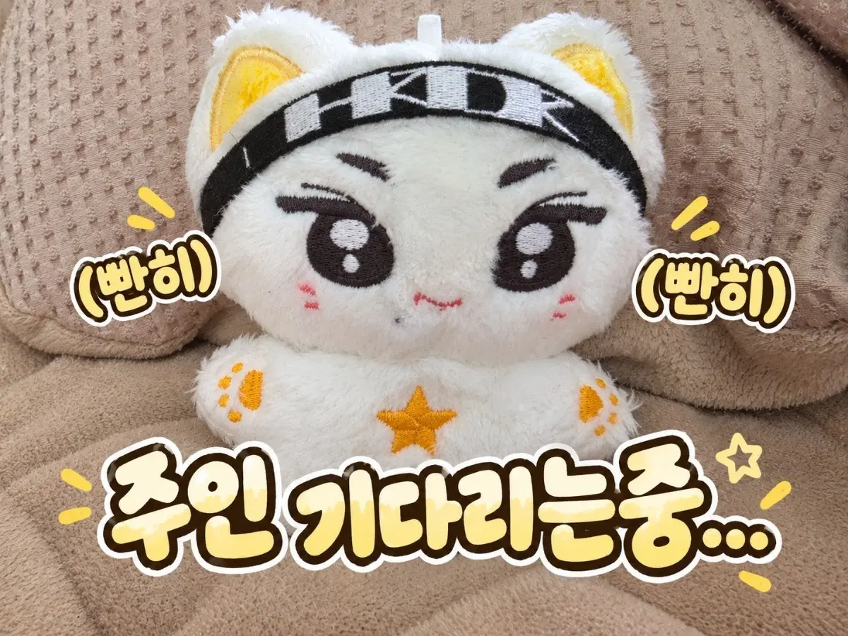 엔하이픈 정원 인형 팝니다
