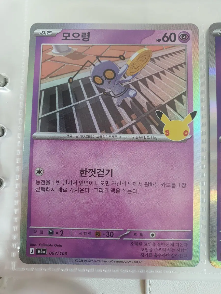 포켓몬 카드 모으령