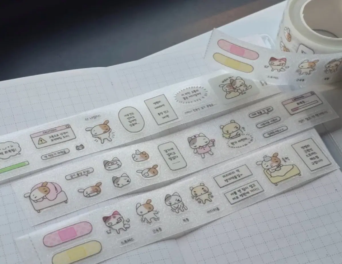 쪼꼬지 종합병원 키스컷 소분띵