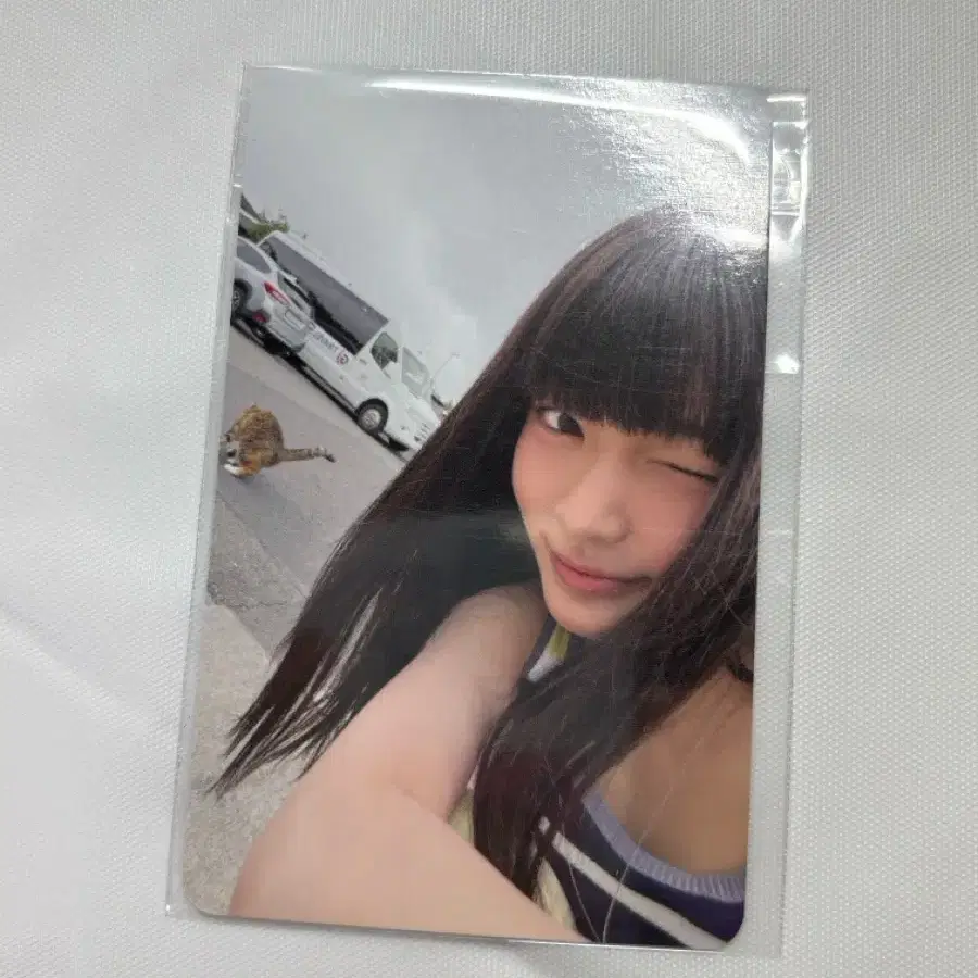 튜이드 세아 케이타운포유 케타포 럭드 럭키드로우 미공포 포카