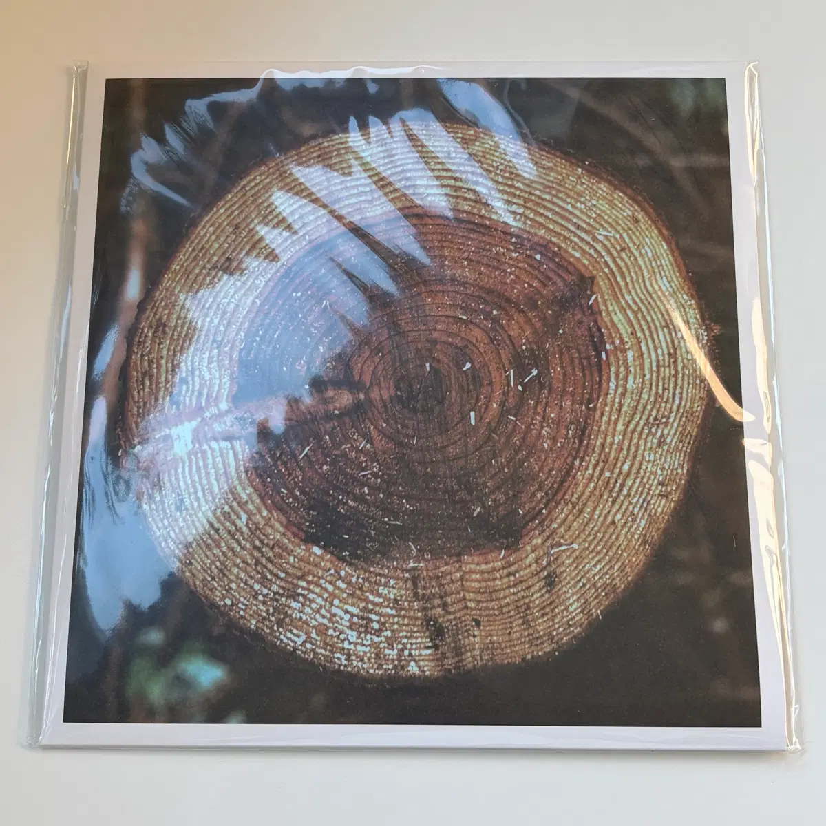 루시드폴 - ambient album (being-with) 다크그린컬러엘피 넘버링160/777 미개봉 새상품