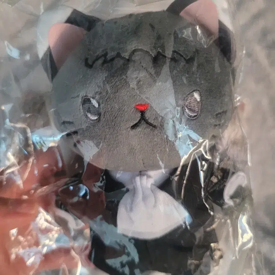 문스독 문호스트레이독스 아쿠타가와 네코누이