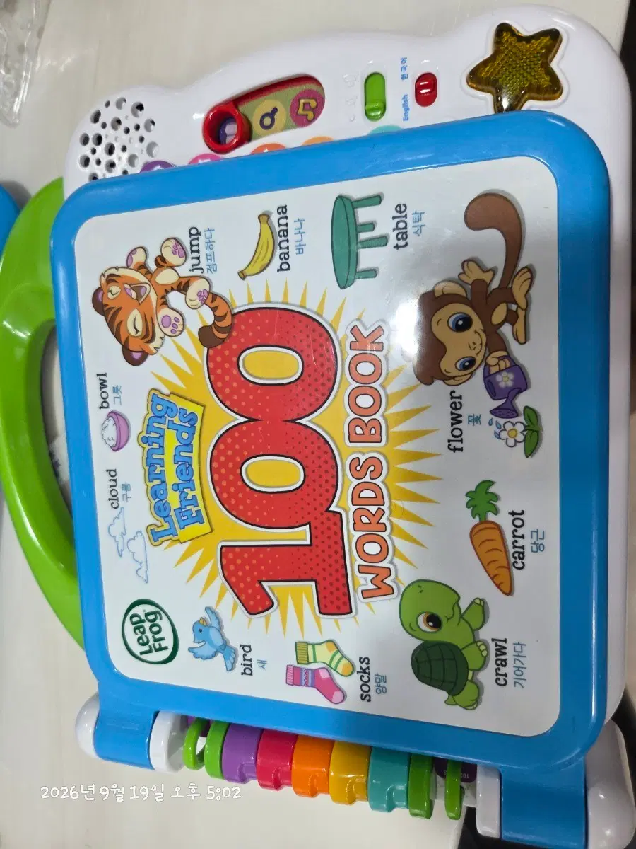 립프로그 워드100