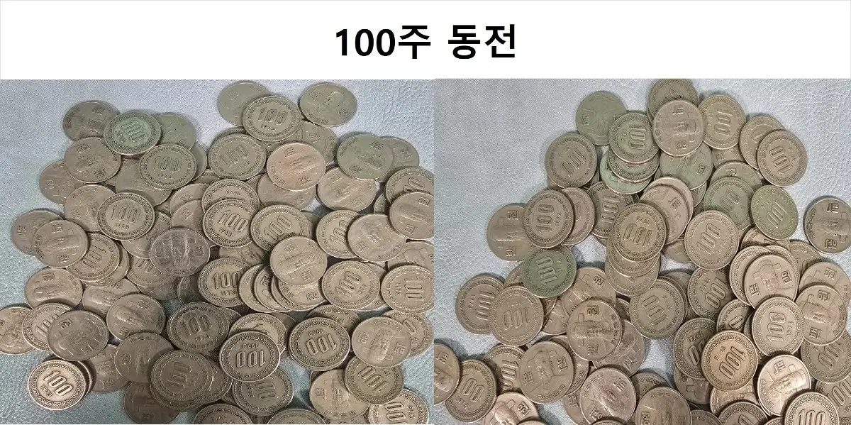 100주 동전 (년도별 판매)