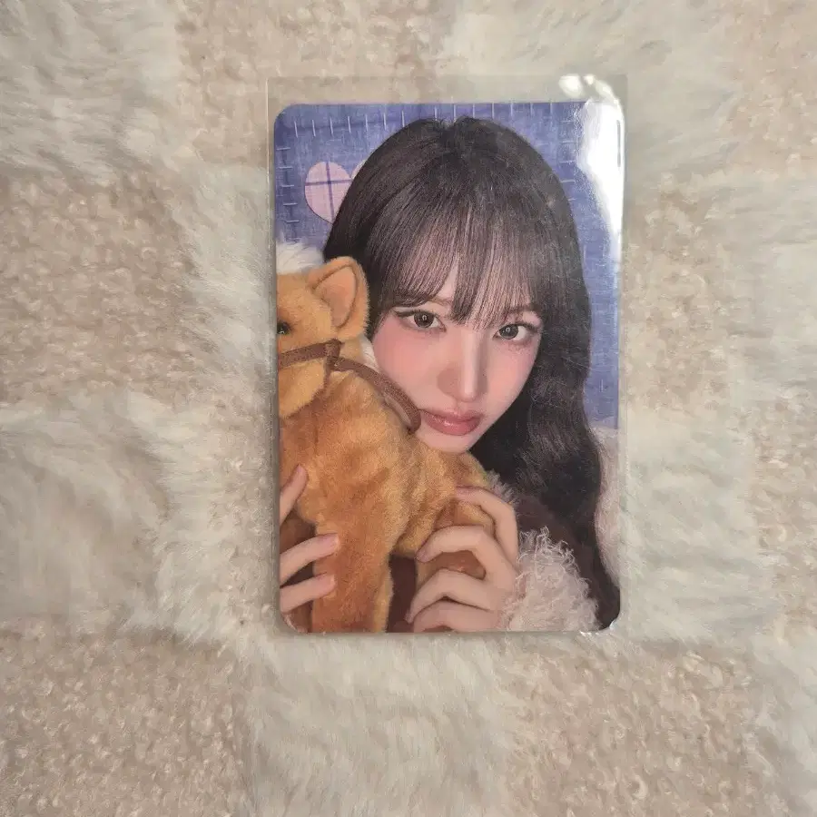 아이브 리즈 포카