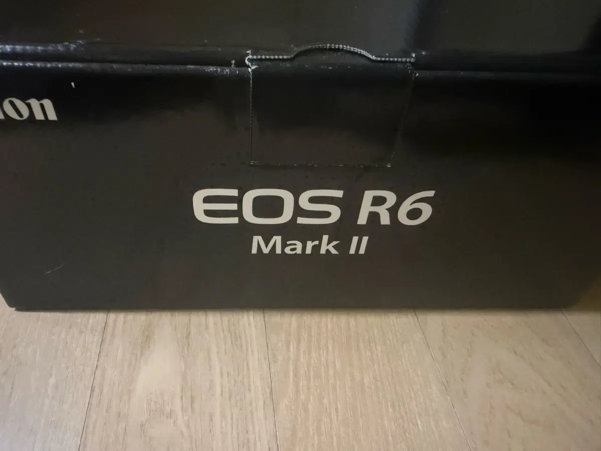 캐논 알육막투 R6M2