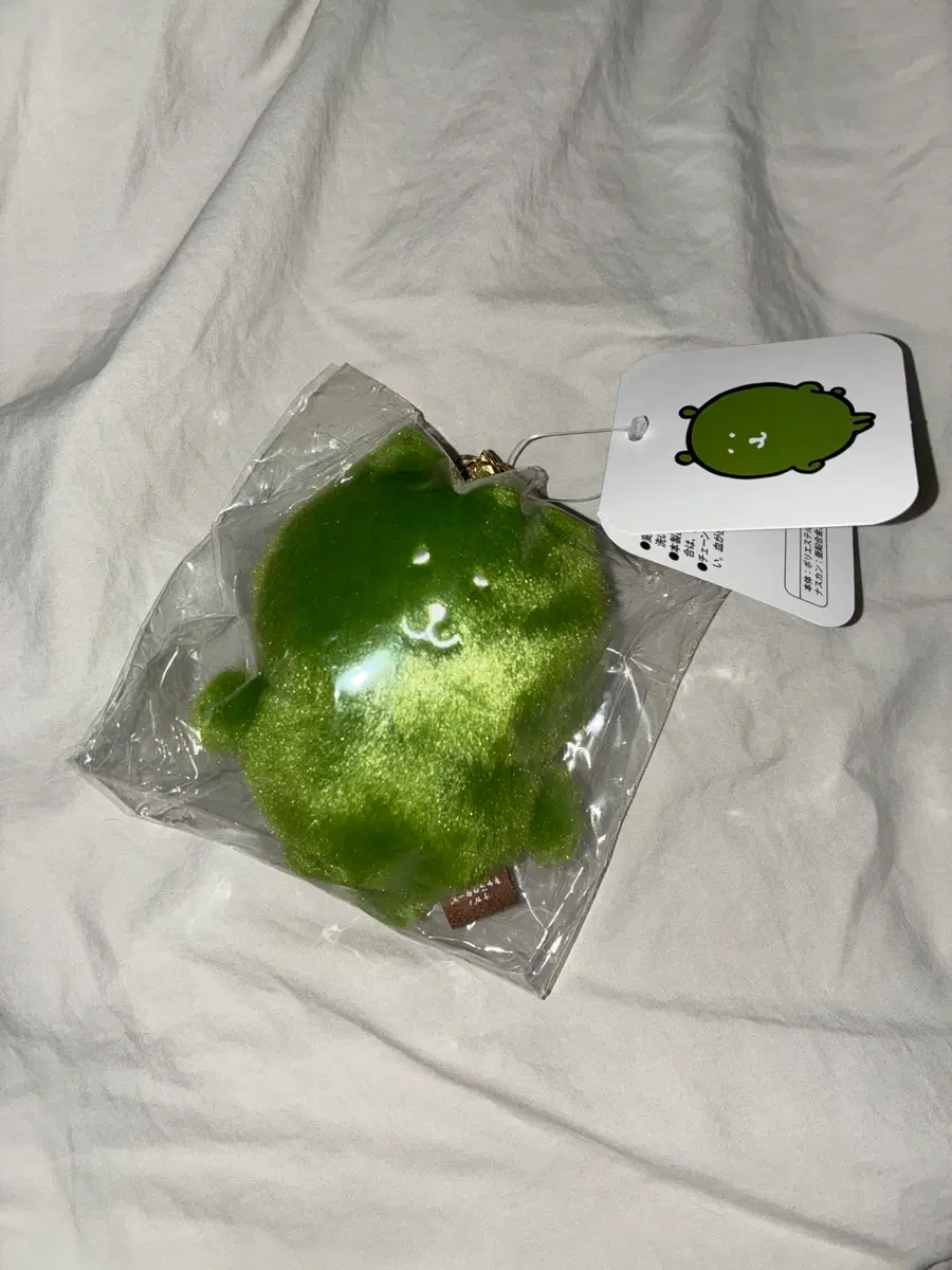 나가노마켓 말차담곰