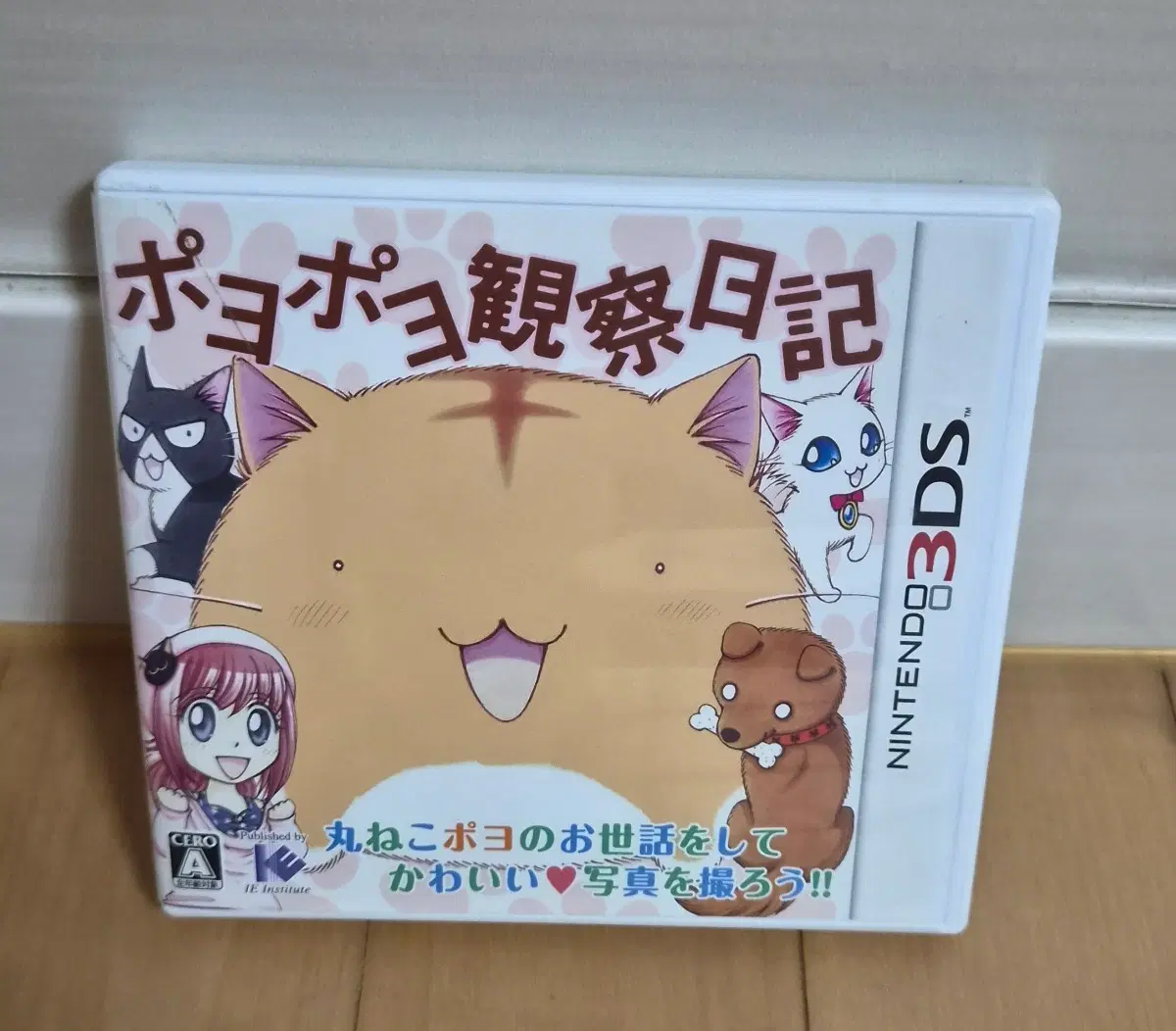 닌텐도 3DS 일본판 포요포요 관찰일기