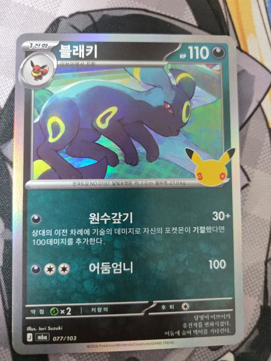 포켓몬카드 30주년 블래키 077/103