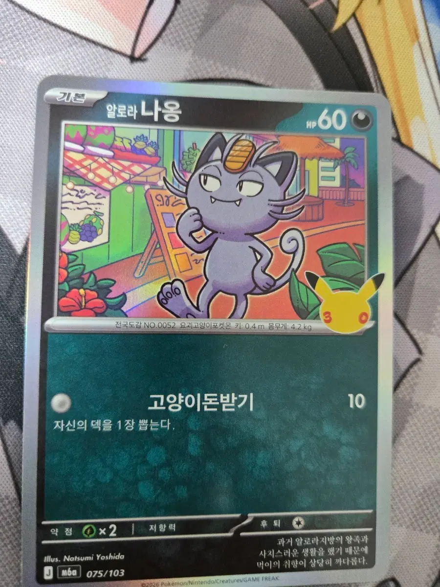 포켓몬 카드 30주년 냐옹 일반카드 일괄