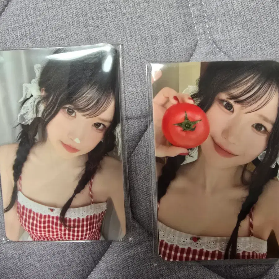 프로미스나인 2026 멤버십 포카 세트