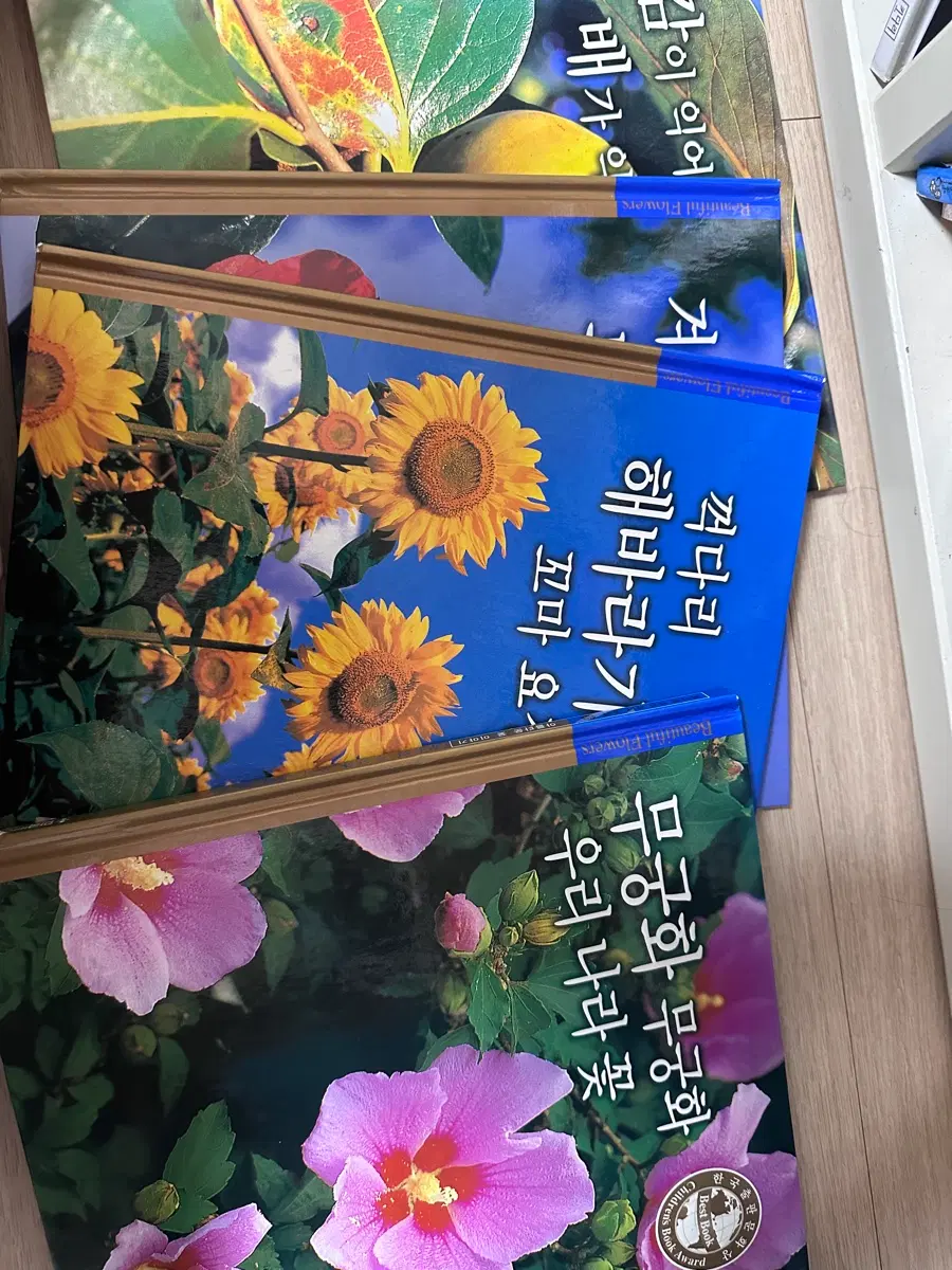 어린이 동화책