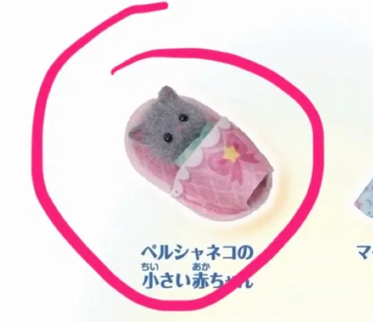 실바니안 키라키라 쿠지 g상