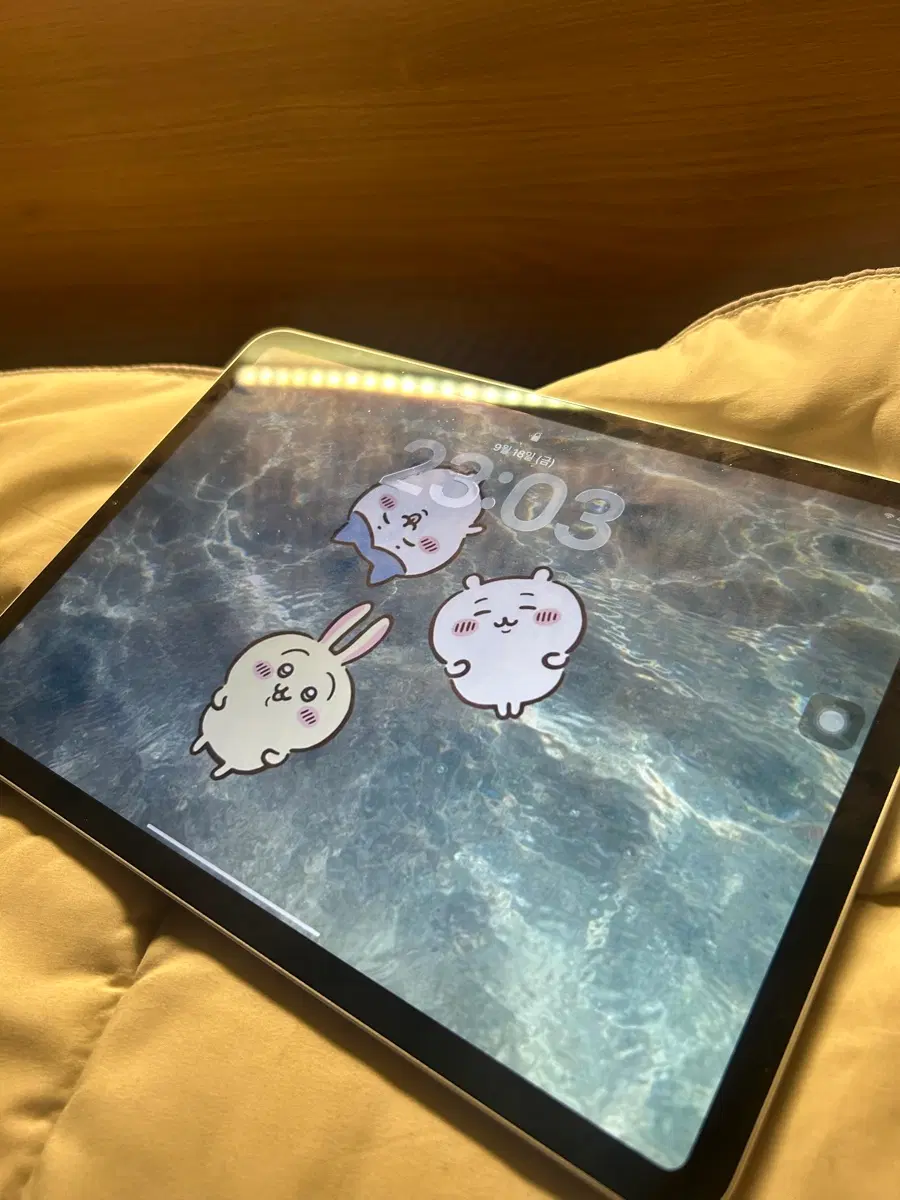 아이패드 프로 11인치 2세대 128기가 스그