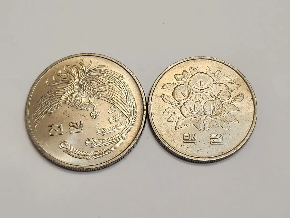 대한민국 주화 100원 1000원