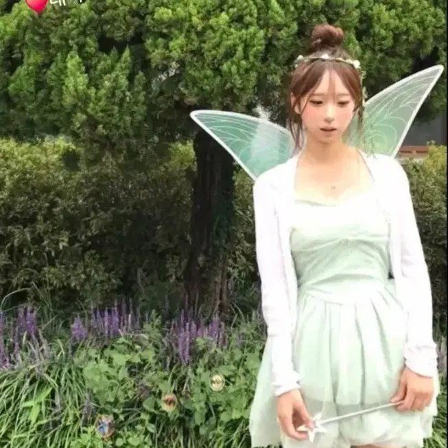 팅커벨 풀셋 의상 대여 디즈니 졸업사진 졸사 코스프레