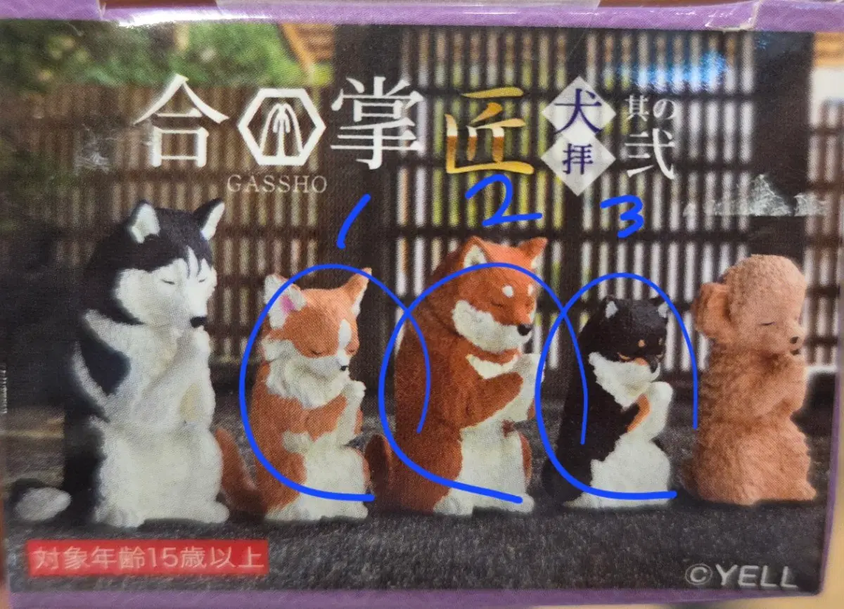 기도하는 강아지 가챠