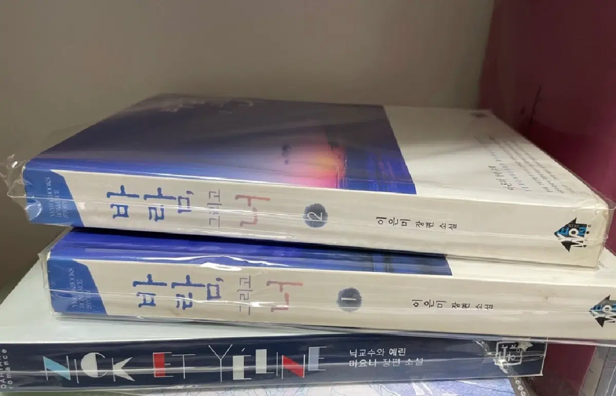 로맨스소설 바람 그리고 너 / 닉교수와 예린