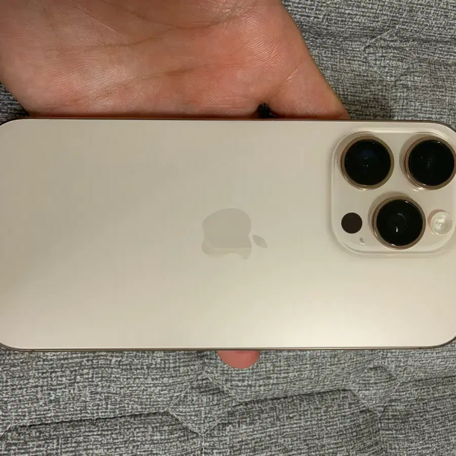 애플 아이폰 16 프로 데저트 티타늄(골드) 256GB