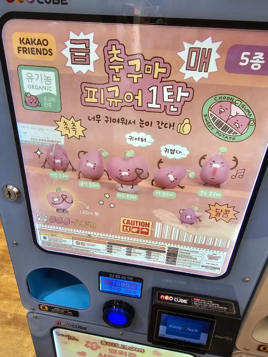 분노 춘구마로 지친 춘구마 구합니다.