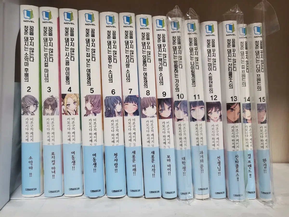 청춘돼지 초판