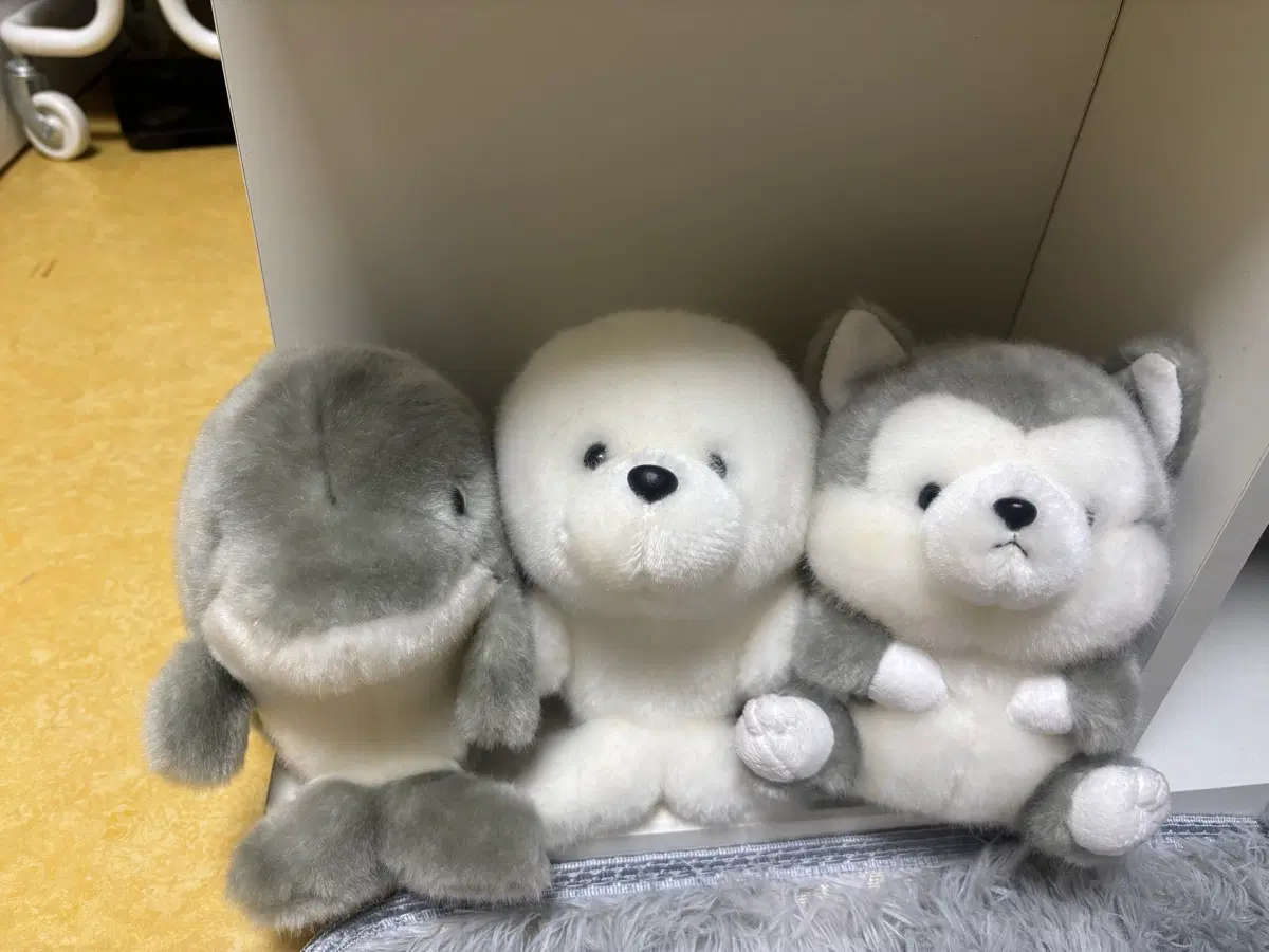 인형들