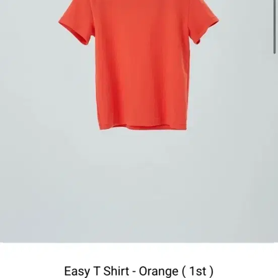 더토 이지 티셔츠 오렌지