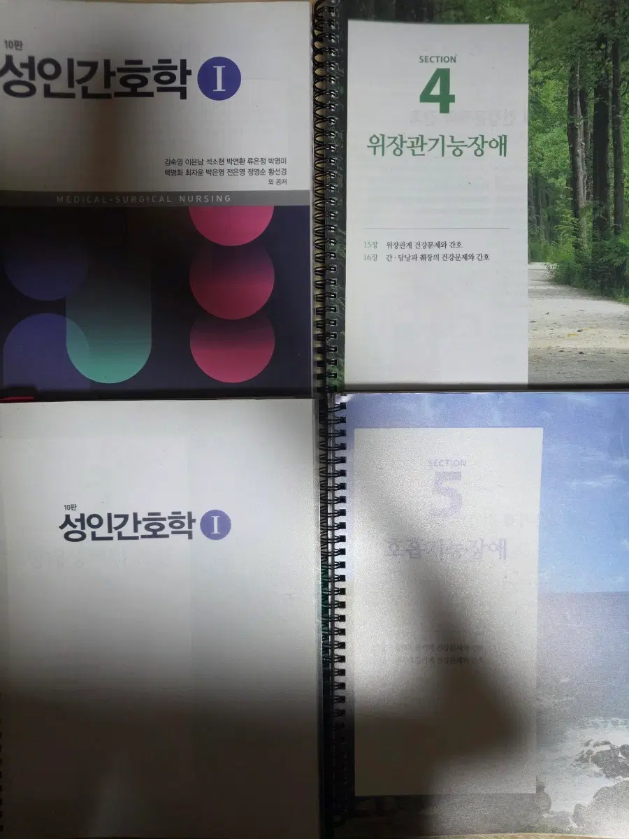 성인간호학 10판 1권(분철_4개)