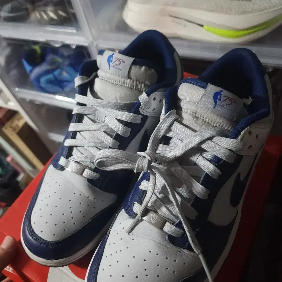 나이키 덩크 로우 NBA 75주년 285 EMB 네츠