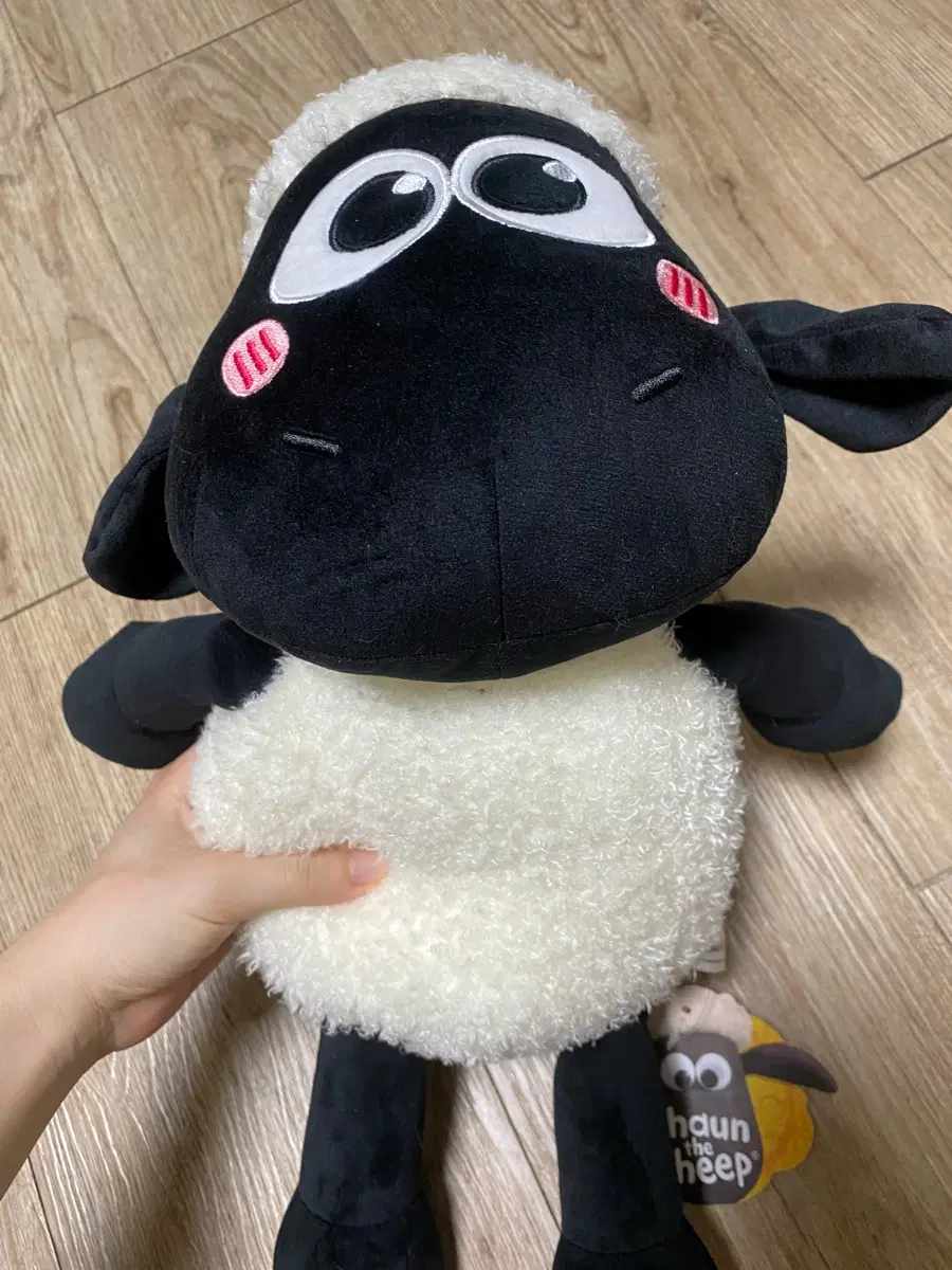 숀더쉽 인형