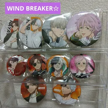 WIND BREAKER 캔뱃지
