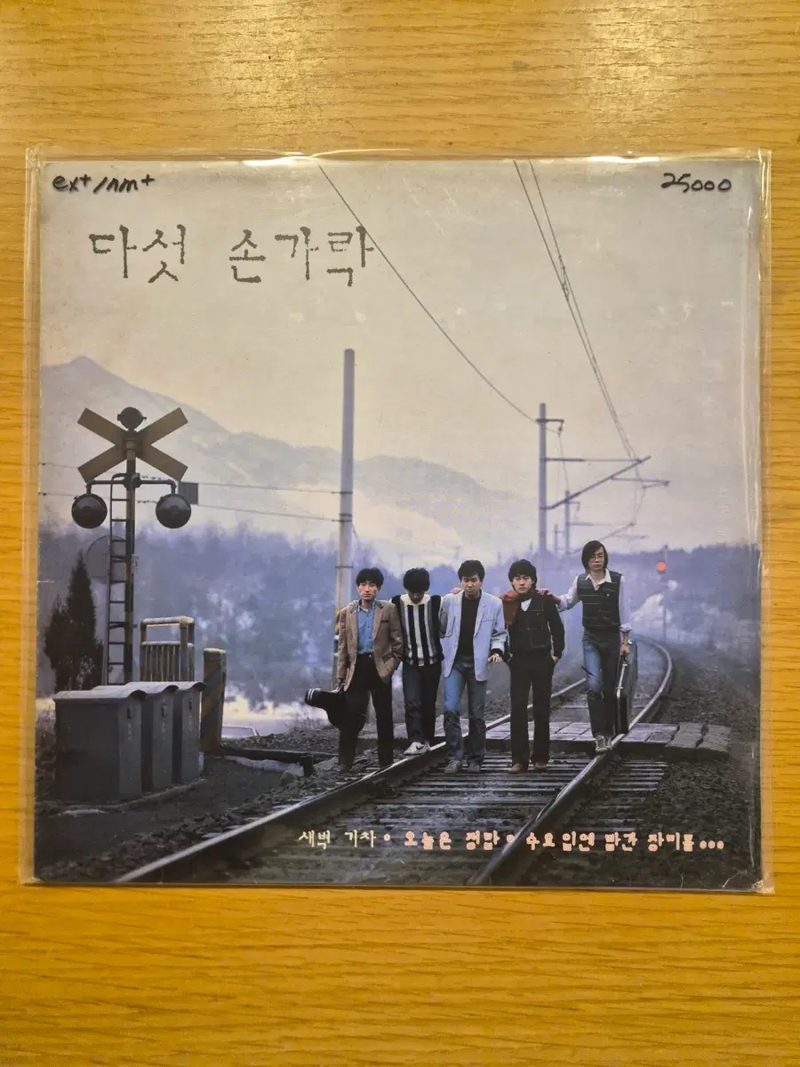 다섯손가락 lp