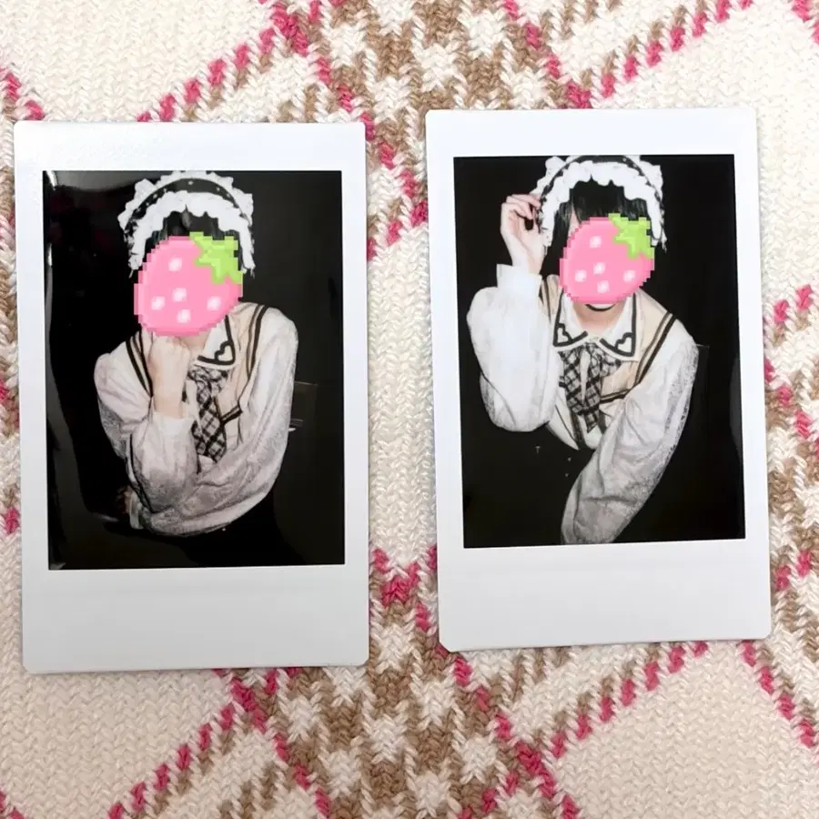 라부싯쿠 타이요 체키