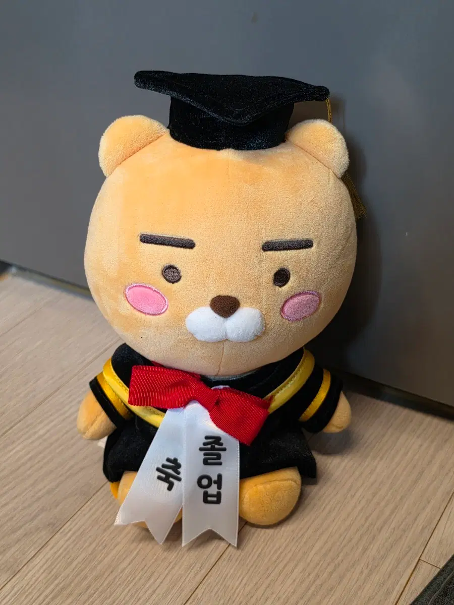 카카오 졸업 라이언
