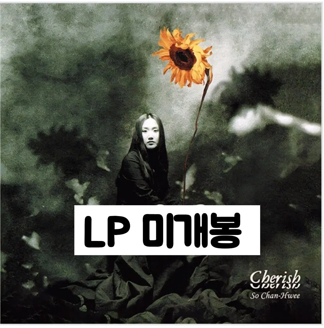 소찬휘 - Cherish [180g LP]