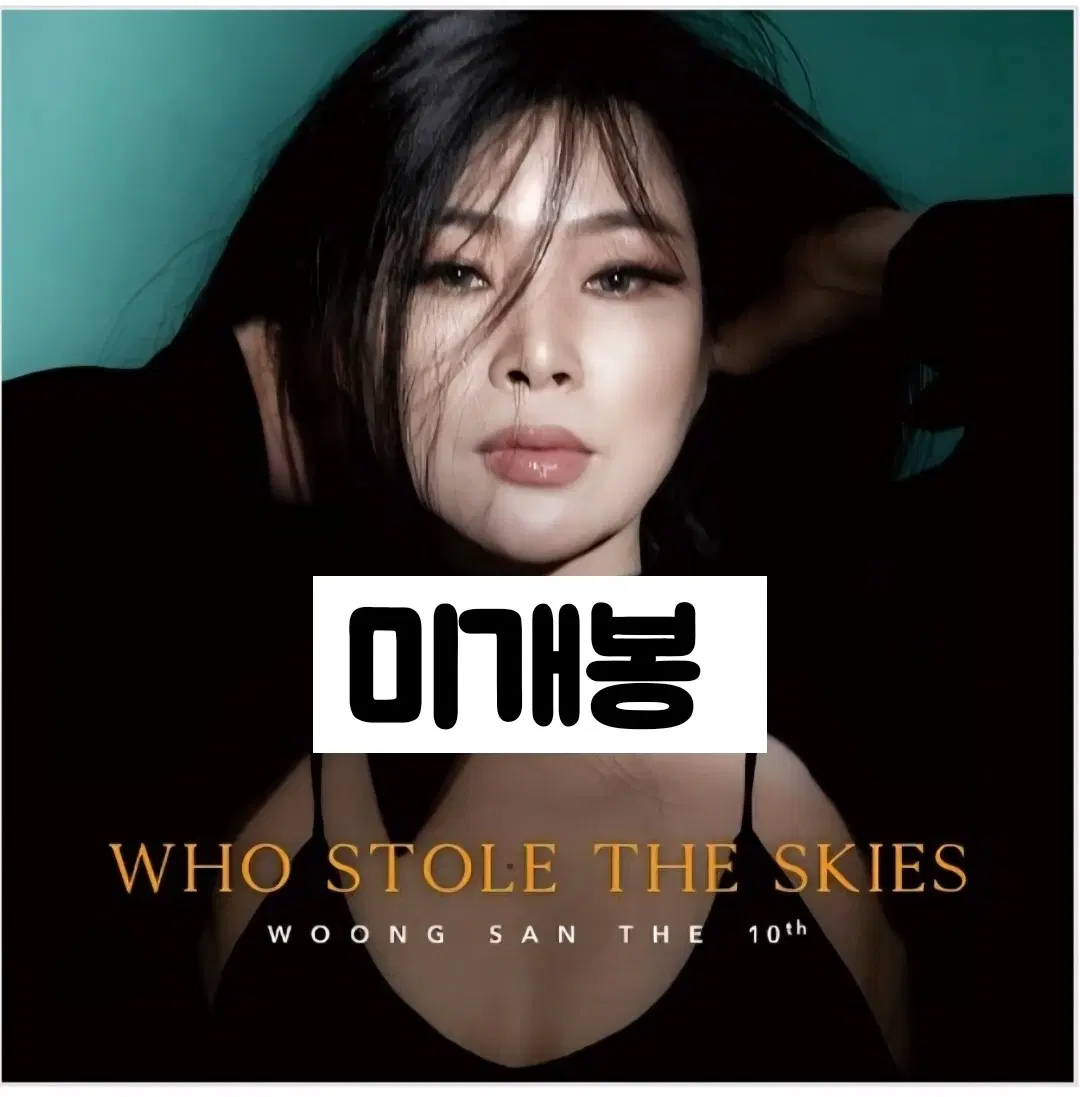 웅산 - 정규 10집 Who Stole the Skies CD