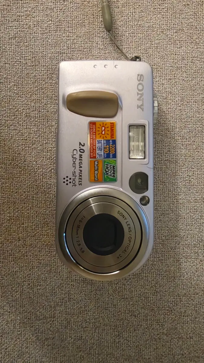 똑딱이 DSC P2