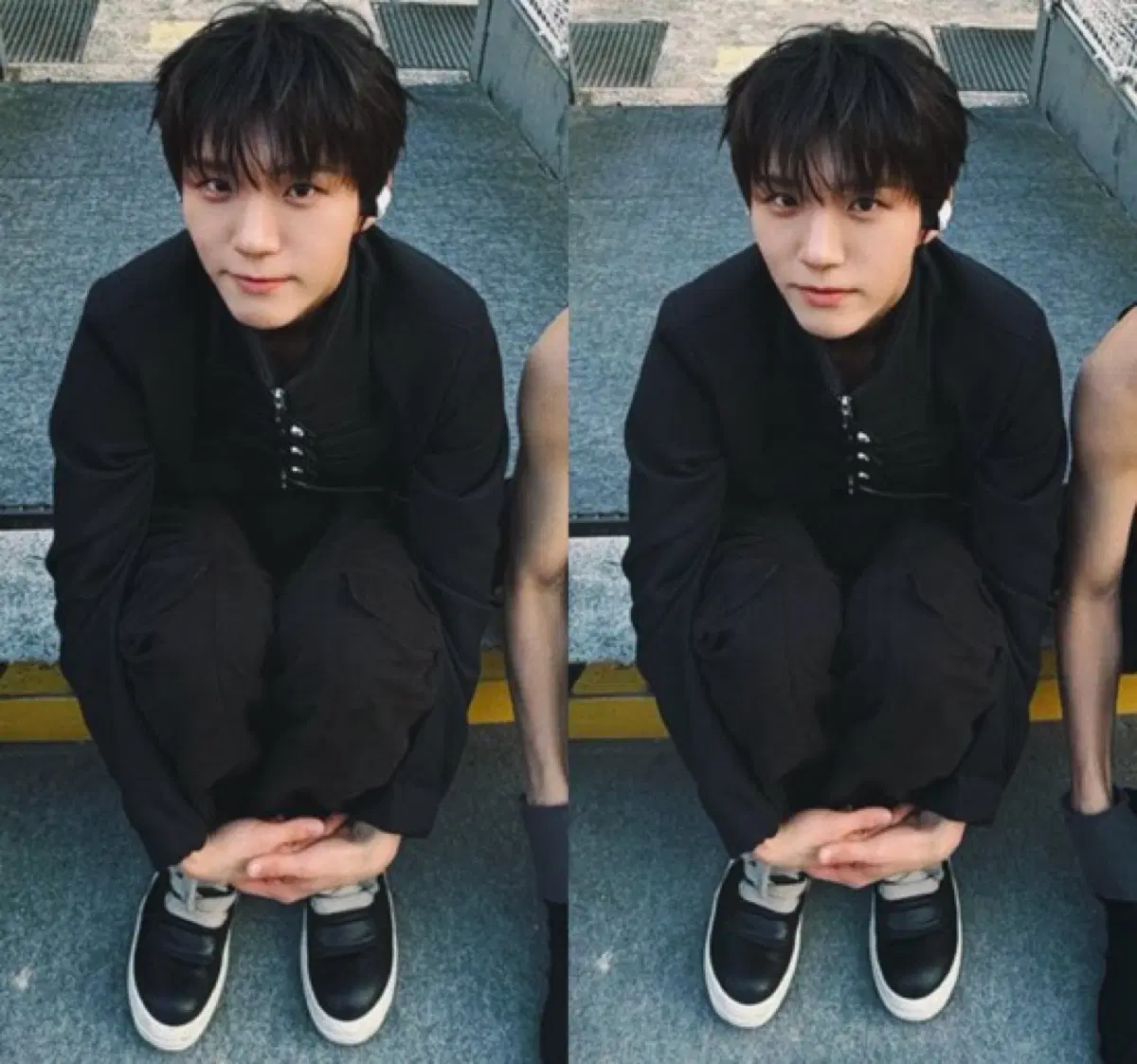 30cm 위시돌 양도 원가 쿠리 댕트리버
