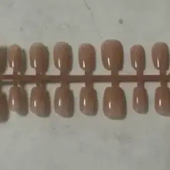 네일팁