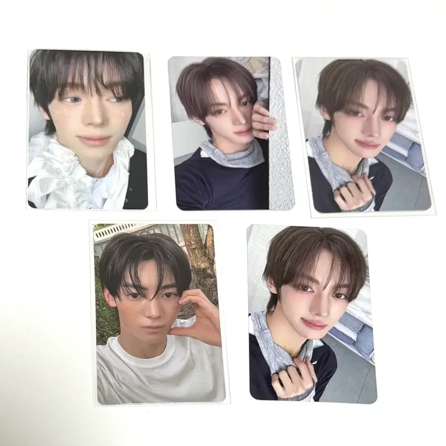 일괄 투어스 한진 포카 미공포