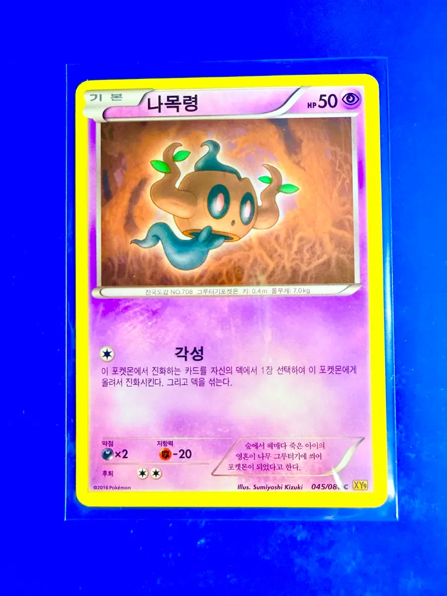포켓몬스터 포켓몬카드 2016년 고대카드 XY9 나목령 카드