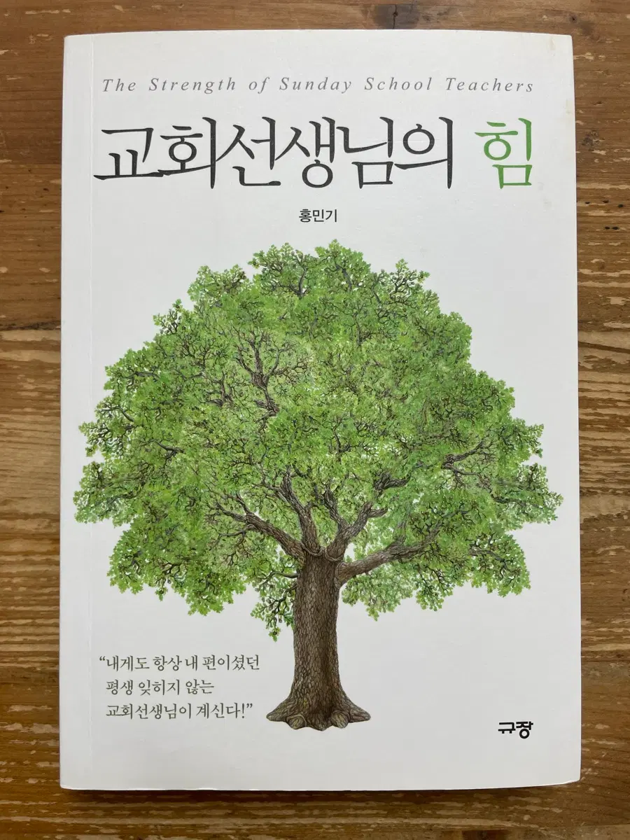 교회선생님의 힘 - 홍민기